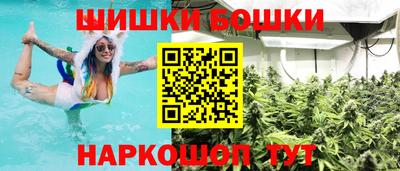 сатива Лесосибирск