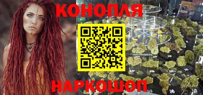 сатива Лесосибирск